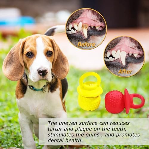 Latex Chew Dog Toys, Novelty Squeaky Pacifier Dog Toys for Teething Puppies, Mild Chewing Small, Medium, Large Dogs, Pet Dogs Supplies Newborn Puppy Gift (Red+Yellow 2 Pcs)