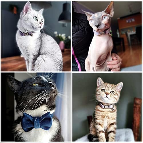 Cat Collar Personalized with Name Phone Number Engraved,Customized with Bell for Small Dogs Puppy Kitten