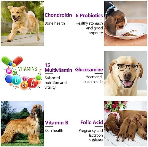 15-in-1 Dog Multivitamin Supplements with Glucosamine & Probiotics，Natural Daily Vitamins Chews for Dogs,Pet Health Support-Skin-Immunity-Gut Digestion-Joint-Heart,150 Pcs-Duck Flavor