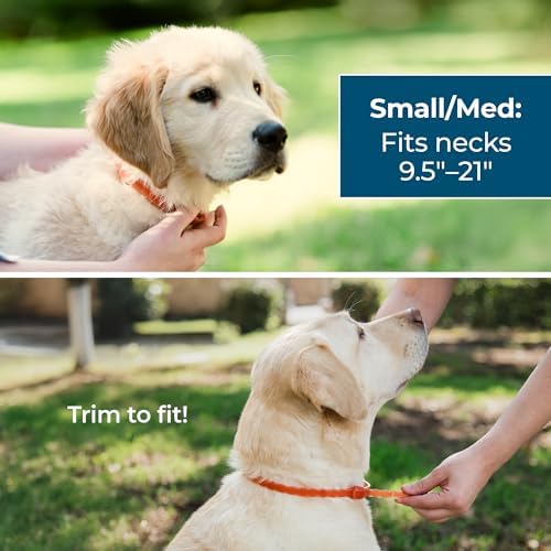 Wondercide - Dog Collar - Small Medium 3PK - Up to 12 Months Protection