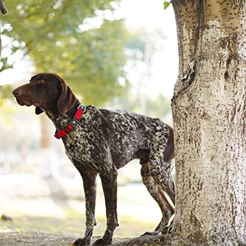 Dog Collar Bundle for Small Dogs (Width- 3/4", Neck - 10.5"-14.5") | Adjustable Padded Black & Red Dog Collars with Heavy Duty O-Ring | Soft & Comfortable Fit for Large Dogs