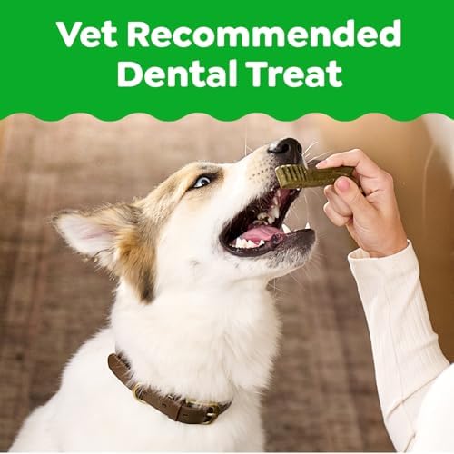 Greenies Veterinarian-Recommended Natural Dental Dog Treats,Dental Chews for Dogs,Regular Size,Sweet Potato Flavor,36 oz,36 Count (Pack of 2)