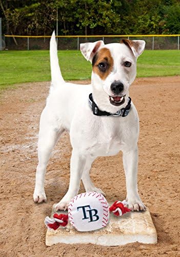Pets First MLB Tampa Bay Rays Baseball Rope Toy for Dogs & Cats. Tough Nylon, Sporty Baseball Design, Heavy-Duty Ropes with Inner Squeaker