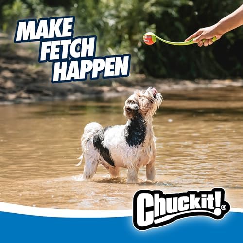 Chuckit! Sport 14S Ball Launcher for Small Dogs, 14-Inch Manual Thrower with 2-Inch Ball, Fits Dogs up to 20 lbs, (Pack of 12)