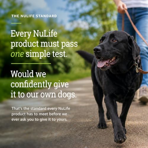 Dog Multivitamin Chewable - 22 in 1 Dog Vitamins and Supplements with Green Lipped Mussel & Omega 3 for Joints, Skin & Coat, Immune System - Senior & Puppy Multivitamin for Dogs - 60 Beef Chews