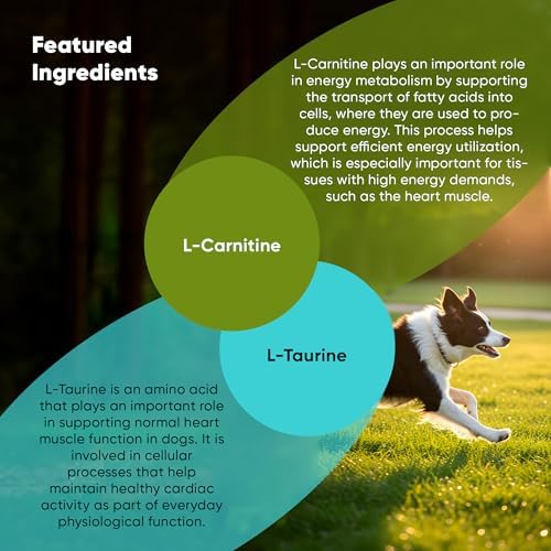 Cardio Support for Dogs - L-Carnitine & Taurine - 60 Vegan Caps