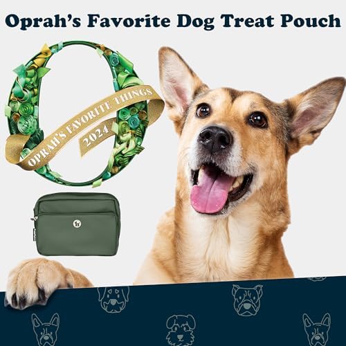 Puppington 3-in-1 Crossbody Bag & Dog Treat Pouch for Pet Training - Matching Compostable Poop Bags, Built-In Poop Bag Dispenser & Slow-Feeding Travel Dog Bowl - Dog Walking Bag (Basil Green)