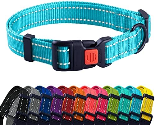 Reflective Dog Collar, Quick-Release Buckle (Light Blue, 18-26 Inch)