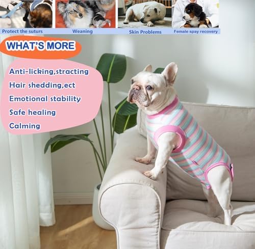 Recovery Suit for Female Dogs, Dog Cone Alternative After Spay