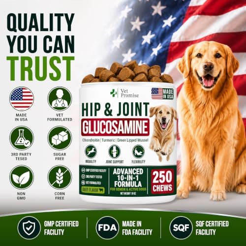 Glucosamine Hip & Joint Supplement for Dogs - 250 Chews with Chondroitin