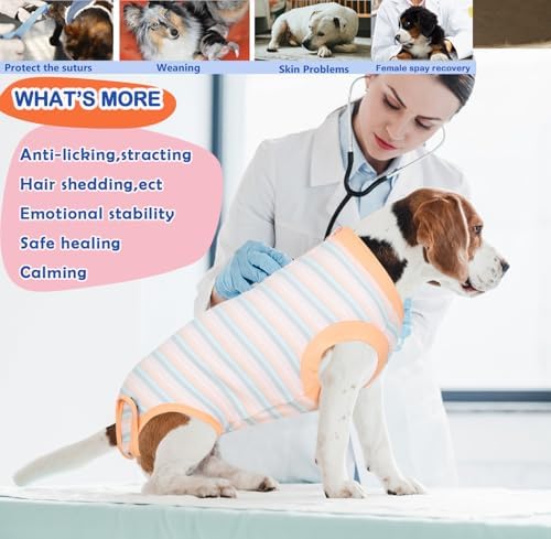 Recovery Suit for Female Dogs, Dog Cone Alternative After Spay