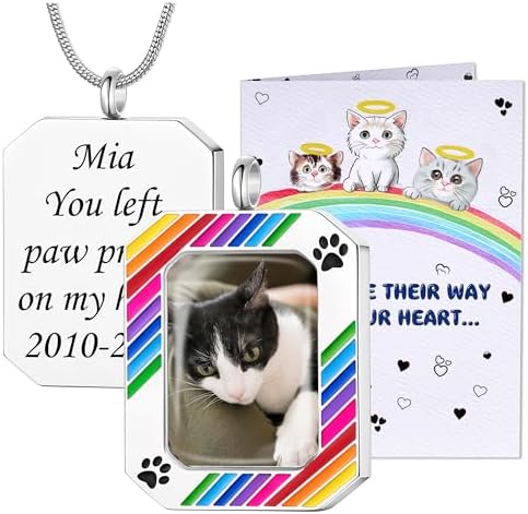 Fanery Sue Pet Ashes Necklace for Dog Cat, Custom Photo & Text