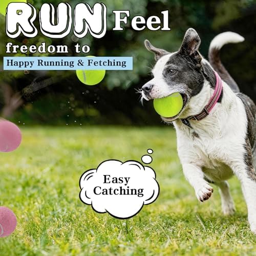 Magicorange Tennis Balls for Dogs,Colorful Easy Catching Dog Balls,36 Pack
