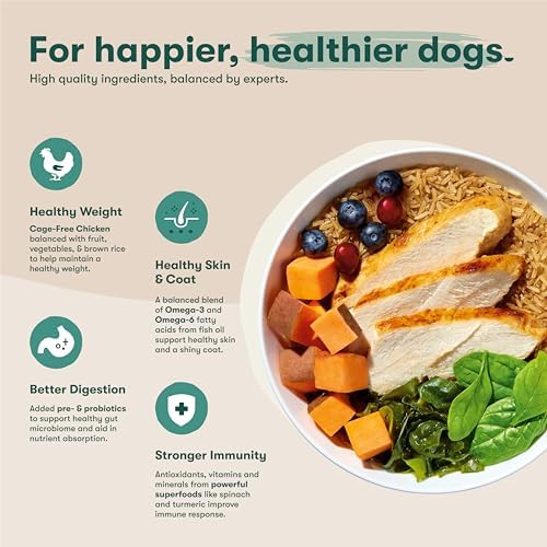 Jinx Dry Dog Food - Cage Free Chicken, Brown Rice & Sweet Potato, 11.5lb