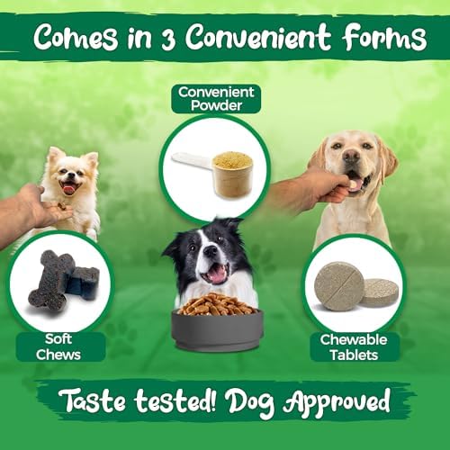 Vital Planet - Hip and Joint Soft Chews for Dogs, with Glucosamine, MSM, and Collagen from Green-Lipped Mussel - 30 Bacon Flavored Soft Chews