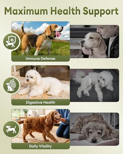 Turkey Tail Mushroom for Dogs, Supports Immunity & Health, 70g