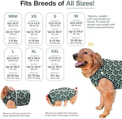 BellyGuard Dog Surgery Recovery Suit, Male Female After Spay Neuter Onesie