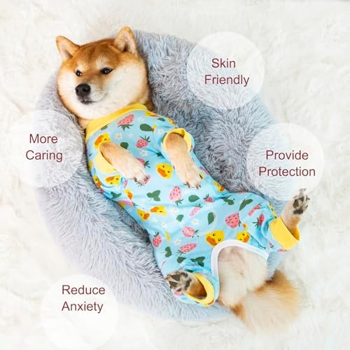Dog Recovery Suit for Small Medium Large Dogs, Pet Onesie After Surgery Comfort Dog Bodysuit Anti Licking (Blue,2XL)