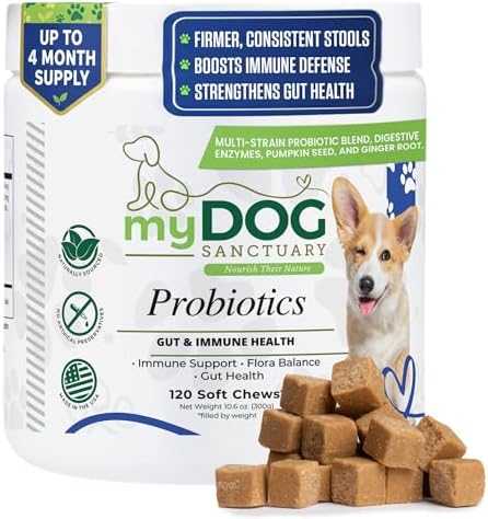 Probiotics for Dogs – 120 Soft Chews, Bacon Flavor | Digestive Enzymes, Gut Health & Immune Support with Pumpkin Seed & Ginger | for All Breeds