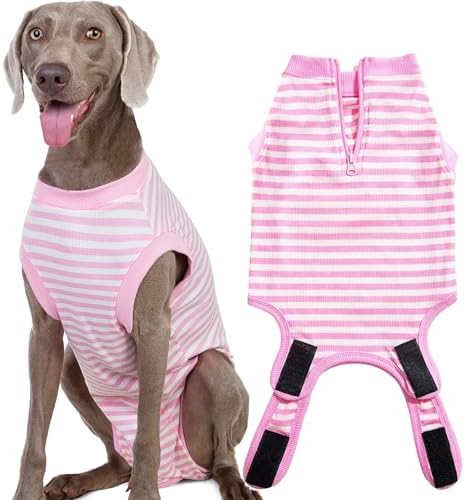 Recovery Suit for Female Dogs, Dog Cone Alternative After Spay
