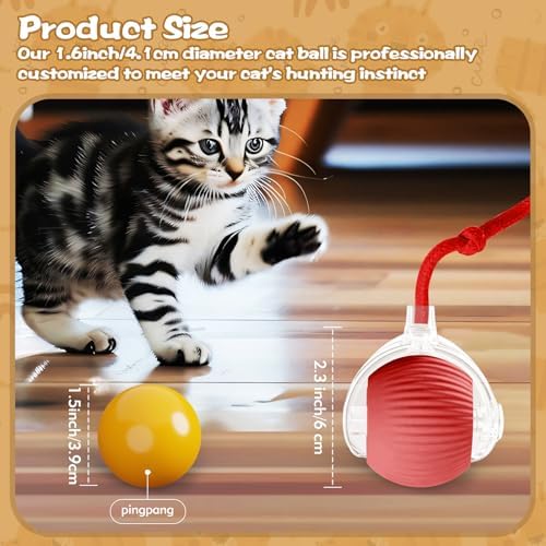 Interactive Cat Ball Toys for Indoor Cats, Upgraded Automatic Cat Toys