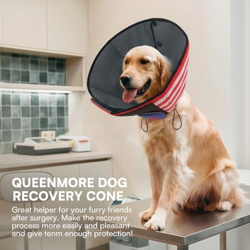 Queenmore Soft Cone for Dogs, Dog Cones for Large Dogs to Stop Licking, Dog Soft Cone, Elizabethan Collar for Pets, Alternative Pet Recovery Collar for Wound Healing, USAFlag L