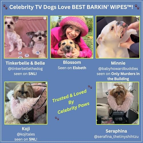 Best BARKIN' Wipes – On-The-Go Individual Micellar Water Dog Wipes - 50Pk
