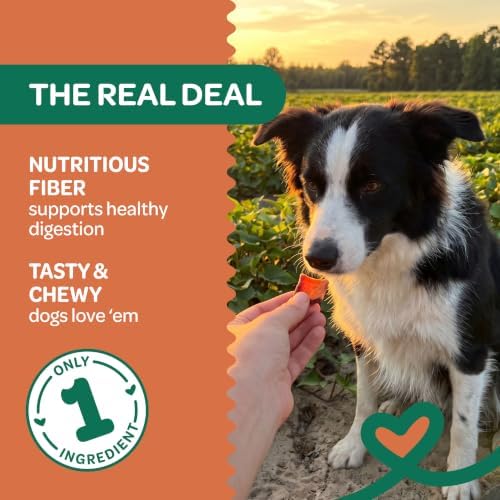 Wholesome Pride Sweet Potato Bites Healthy Dog Treats, 1 Ingredient, 8 oz