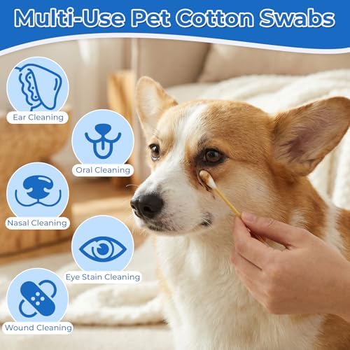 Dog Ear Swabs, 6 Inch Long Cotton Swabs (100 Pcs)