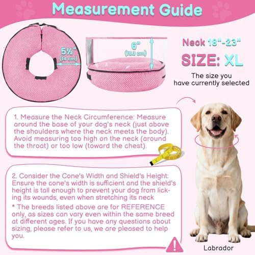 Inflatable Dog Cone with Clear Shield for Added Coverage