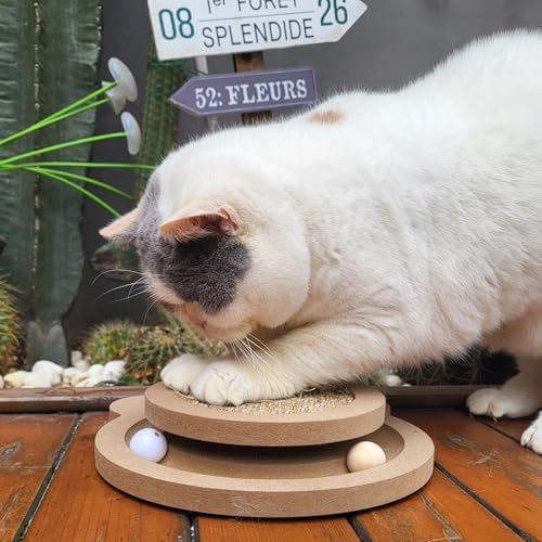 Cute Cat Scratcher,Interactive Scratcher Toys for Indoor Cats and Kitten Natural Sisal Cat Scratch Mats Track Balls Spring Toy,for Bored Cats self Play