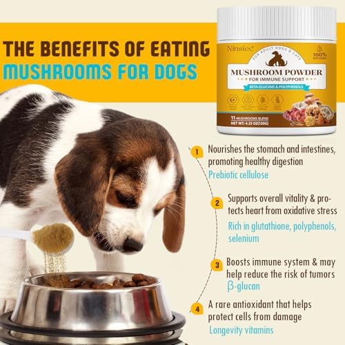 Mushroom Supplement Powder for Dogs & Cats, Dogs Lumps and Bumps-4.23Oz