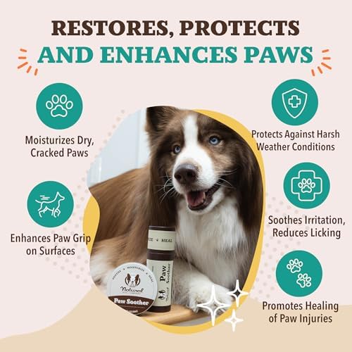 Natural Dog Company Paw Soother Dog Paw Balm – 1 oz Tin