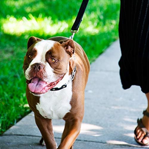 Herm Sprenger Prong Collar for Dog Training with Easy Quick Release Buckle - German Made Dog Collar with Chrome Plated Steel 4.0mm Prongs for Extra Large Dogs (26-31" Neck)