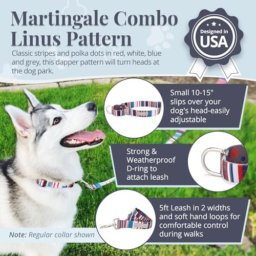 Lucky Love Dog Martingale Collar & Leash Set No Slip Cute – Linus, Small