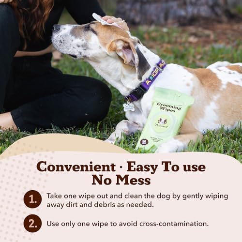 Natural Dog Company Eye & Grooming Wipes Bundle for Dogs – Tear Stain Remover & Full-Body Deodorizing Wipes with Green Tea, Goldenseal & Aloe – Hypoallergenic, Vegan – 100 ct + 50 ct