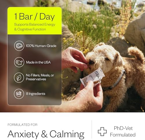 Maev Anxiety & Calming Supplement Bars for Dogs, with L-Theanine, 30 Count