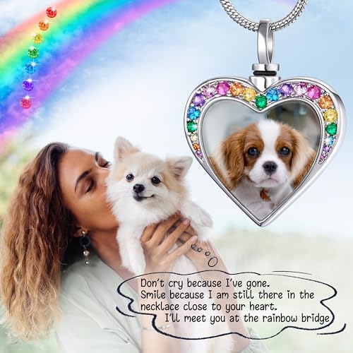 Fanery Sue Pet Ashes Necklace for Dog Cat, Custom Photo & Text