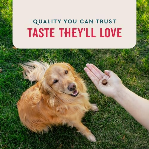 VetIQ Multivitamin for Dogs, Brain, Immune & Digestive, 90ct
