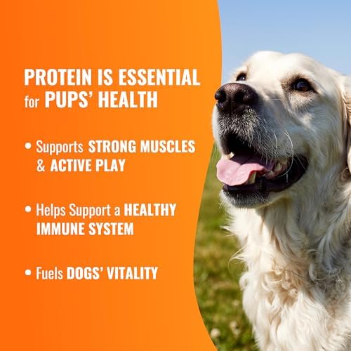 GOOD 'N' FUN Rolls Dog Treat with Real Bully for Large Dogs, 3 Count