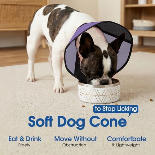 Cone for Dogs, Soft Dog Cone for Medium Large Dogs