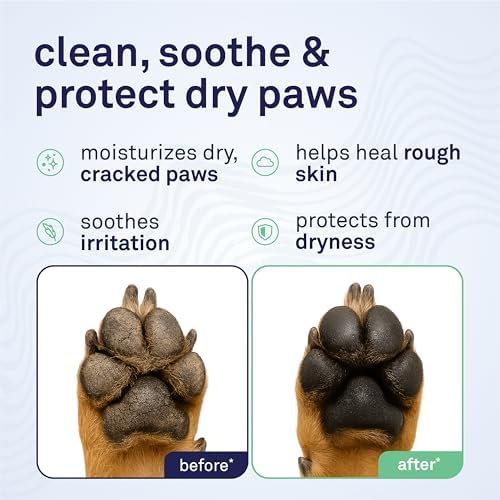 Petpost | Paw Balm for Dogs - Nourishing Cream Soothes Itchy, Dry Dog Paws with Moisturizing Ingredients - Organic Coconut Oil, Jojoba Oil, and Shea Butter 0.64 oz.