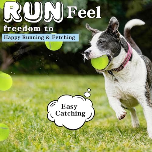Magicorange Tennis Balls for Dogs,Colorful Easy Catching Dog Balls,4 Pack