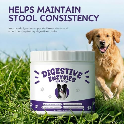 Digestive Enzymes for Dogs, Kibble Digestion & Pancreatic Enzyme Powder
