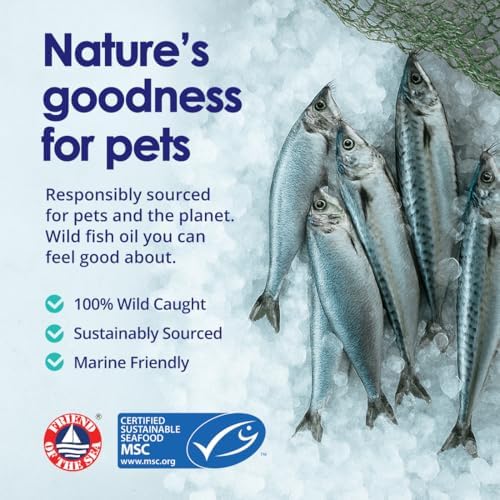 Pure Omega 3 Fish Oil for Dogs, Wild Caught from Iceland, Skin and Coat Supplement for Shedding, Dry Itchy Skin and Allergies, Rich in EPA + DHA with Omega 3, 6 & 9 Fatty Acids, 1000mg, 180 Capsules