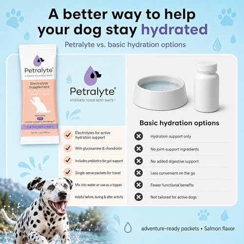 Dog Electrolytes and Joint Supplement | Glucosamine, Chondroitin & MSM for Inflammation and Mobility Support | Electrolytes for Dogs with Prebiotics | Salmon Lovers | 16 Packets