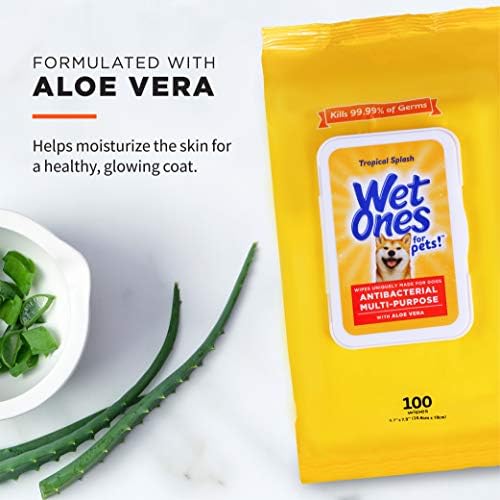 Wet Ones for Pets Multipurpose Dog Wipes, Tropical Splash, 100 Count