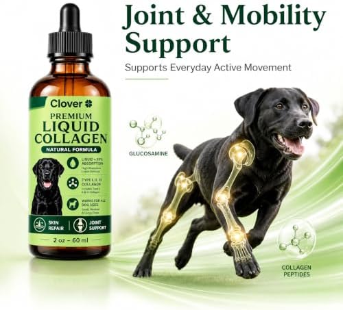 Clover Dogs Liquid Collagen for Dogs, Daily Joint Mobility, Skin & Coat Support Supplement Drops, Easy Liquid Formula for Dogs