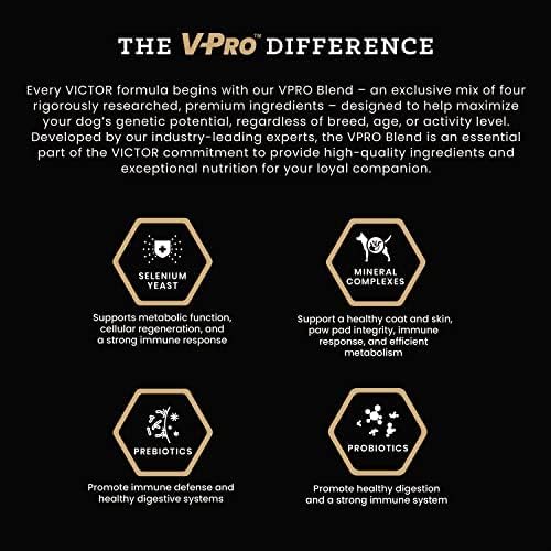 VICTOR Super Premium Dog Food – Select Beef Meal & Brown Rice Formula for Immune and Gut Health – Gluten-Free Beef Meal Dry Dog Food for All Normally Active Dogs of All Life Stages, 15 lbs