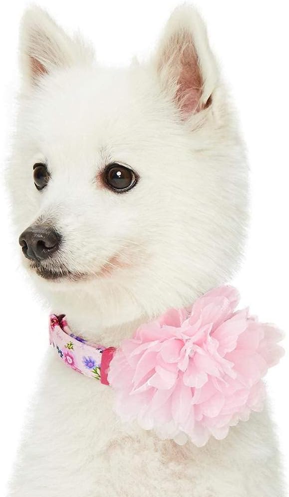 Blueberry Pet Floral Power Cosmos Designer Pink Adjustable Dog Collar with Detachable Pink Peony, Small, Neck 12"-16"